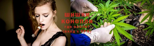 бошки Алексин